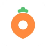 당근마켓 아이콘